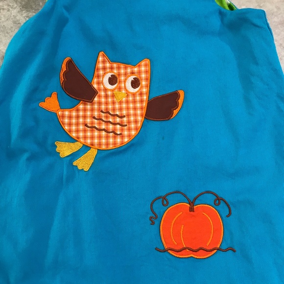 Mulberry Street Reversible Girl’s Owl Dress Size 3T - Picture 3 of 5